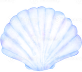 shell